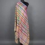 Mizaj Mehfil Multicolor Pashmina Shawl