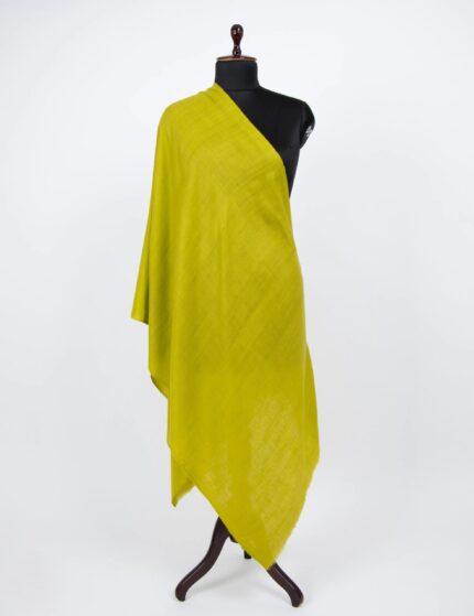 Olive Green Bean Green Pashmina