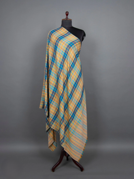 Dastaan-e-Raqs Multicolor Shawl (Tale of Dance Multicolor Shawl)